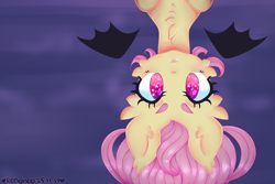 Size: 3000x2000 | Tagged: safe, artist:bunxl, character:flutterbat, character:fluttershy, species:bat pony, species:pony, female, floating wings, looking at you, mare, race swap, solo, upside down