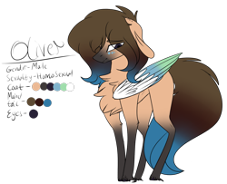 Size: 2835x2299 | Tagged: safe, artist:sweetmelon556, oc, oc only, oc:oliver, species:pegasus, species:pony, colored wings, high res, male, multicolored wings, reference sheet, solo, stallion