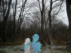 Size: 1024x768 | Tagged: safe, artist:elisdoominika, oc, oc only, oc:sweet elis, oc:thinker blue, clothing, forest, hat, irl, photo, ponies in real life, snow, walking, winter