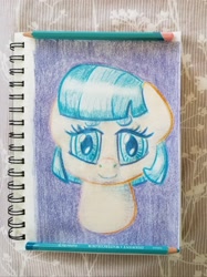 Size: 2600x3467 | Tagged: safe, artist:shoeunit, character:coco pommel, species:earth pony, species:pony, bust, colored pencil drawing, female, mare, portrait, sketchbook, solo, traditional art