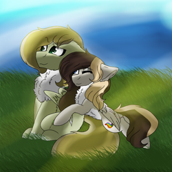 Size: 2560x2560 | Tagged: safe, artist:brokensilence, oc, oc:auctor, oc:misty serenity, species:pegasus, species:pony, chest fluff, couple, female, male, mistor, shipping, straight