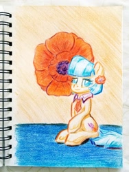 Size: 2214x2952 | Tagged: safe, artist:shoeunit, character:coco pommel, species:earth pony, species:pony, colored pencil drawing, female, flower, mare, solo, traditional art