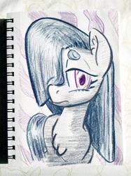 Size: 2398x3198 | Tagged: safe, artist:shoeunit, character:marble pie, species:earth pony, species:pony, colored pencil drawing, female, mare, sketchbook, solo, traditional art