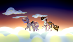 Size: 4000x2320 | Tagged: safe, artist:sweetmelon556, oc, oc only, oc:dark song, oc:golden feather, species:pegasus, species:pony, cloud, male, stallion