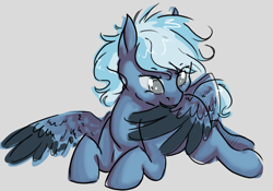 Size: 954x668 | Tagged: safe, artist:amphoera, oc, oc only, oc:wind shear, species:pegasus, species:pony, colored wings, colored wingtips, female, gray background, mare, preening, prone, simple background, solo