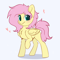 Size: 1024x1024 | Tagged: safe, artist:kebchach, character:fluttershy, species:pegasus, species:pony, :t, alternate hairstyle, blushing, chest fluff, cute, ear fluff, female, fluffy, folded wings, heart, leg fluff, looking at you, mare, messy mane, missing cutie mark, raised hoof, shyabetes, simple background, smiling, solo, standing, three quarter view, white background, wing fluff, wings