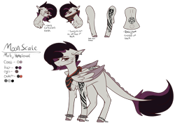 Size: 2572x1796 | Tagged: safe, artist:sweetmelon556, oc, oc:moon scale, species:pegasus, species:pony, male, reference sheet, simple background, solo, stallion, tattoo, transparent background