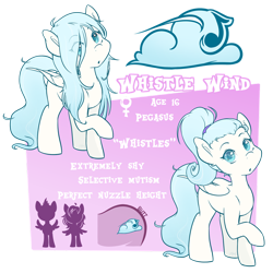 Size: 1024x1024 | Tagged: safe, artist:midnightpremiere, oc, oc only, oc:whistle wind, species:pegasus, species:pony, female, mare, raised hoof, reference sheet, solo