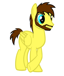 Size: 1652x1960 | Tagged: safe, artist:sky chaser, base used, oc, oc only, oc:sky chaser, species:pegasus, species:pony, beard, facial hair, hooves, male, simple background, solo, stallion, transparent background, underhoof