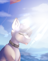 Size: 1842x2370 | Tagged: safe, artist:mauuwde, oc, oc:charlie, species:pony, bust, lens flare, male, ocean, portrait, solo, stallion