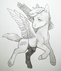 Size: 1280x1497 | Tagged: safe, artist:amphoera, oc, oc:gale force, species:pegasus, species:pony, solo