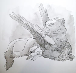 Size: 1280x1218 | Tagged: safe, artist:amphoera, oc, oc only, oc:venti via, species:classical hippogriff, species:hippogriff, species:pony, inktober, duo, gray background, grayscale, monochrome, simple background, sleeping