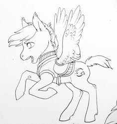 Size: 1280x1362 | Tagged: safe, artist:amphoera, oc, oc:gale force, species:pony, armor, monochrome, solo