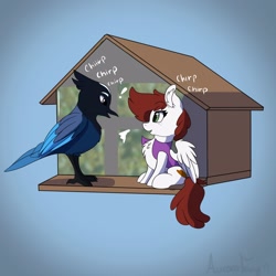 Size: 3000x3000 | Tagged: safe, artist:aurorafang, oc, oc only, oc:graph travel, species:bird, species:pegasus, species:pony, behaving like a bird, bird feeder, chest fluff, clothing, duo, female, freckles, graph believe being bird, looking at each other, mare, simple background, small pony, spread wings, steller's jay, text, vest, wings