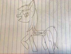 Size: 3264x2448 | Tagged: safe, artist:rainbow dash is best pony, character:rainbow dash, species:pegasus, species:pony, lineart, lined paper, open mouth, pencil drawing, traditional art