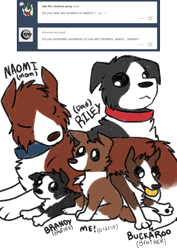 Size: 800x1133 | Tagged: safe, artist:askwinonadog, character:winona, oc, oc:brandy, oc:buckaroo, oc:naomi, oc:riley, species:dog, ask, ask winona, ball, cute, family, mouth hold, puppy, simple background, tumblr, white background, younger