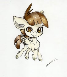 Size: 1985x2273 | Tagged: safe, artist:luxiwind, character:featherweight, species:pony, cloven hooves, colored hooves, colored pencil drawing, male, simple background, solo, traditional art, unshorn fetlocks, white background