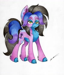 Size: 4633x5433 | Tagged: safe, artist:luxiwind, oc, oc:tracer paint, species:earth pony, species:pony, female, mare, solo, traditional art