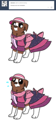 Size: 600x1310 | Tagged: safe, artist:askwinonadog, character:winona, species:dog, ask, ask winona, clothing, dress, female, hat, nervous, simple background, solo, sweat, tumblr, white background
