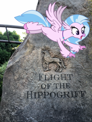 Size: 3024x4032 | Tagged: safe, artist:hendro107, artist:marches45, character:silverstream, species:classical hippogriff, species:hippogriff, female, flight of the hippogriff, florida, harry potter, hippogriffs in real life, irl, orlando, photo, ponies in real life, real life background, solo, theme park, universal studios, universal's islands of adventure