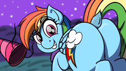 Size: 1920x1080 | Tagged: safe, artist:ashtoneer, character:rainbow dash, species:pegasus, species:pony, /mlp/, butt, clothing, dock, female, hat, looking back, mare, party hat, plot, rainbutt dash, raised eyebrow, smiling, smirk, solo