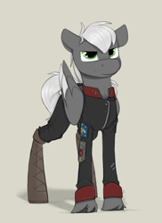 Size: 800x1100 | Tagged: safe, artist:sinrar, oc, oc:stryker, species:pegasus, species:pony, clothing, commission, male, simple background, solo, uniform