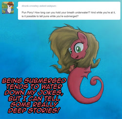 Size: 821x800 | Tagged: safe, artist:hewison, oc, oc:pun, species:sea pony, ask pun, ask, pun, seaponified, solo, species swap