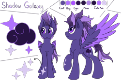 Size: 5760x4000 | Tagged: safe, artist:shad0w-galaxy, oc, oc only, oc:shadow galaxy, species:pegasus, species:pony, absurd resolution, cutie mark, female, mare, reference, reference sheet, solo