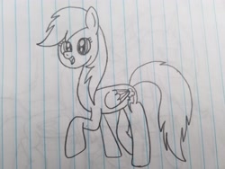 Size: 4032x3024 | Tagged: safe, artist:rainbow dash is best pony, character:rainbow dash, species:pegasus, species:pony, cute, dashabetes, female, lined paper, long neck, pencil drawing, solo, traditional art