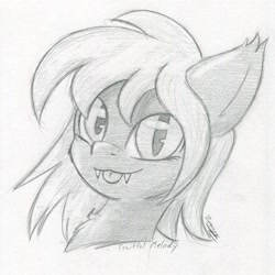 Size: 1577x1578 | Tagged: safe, artist:zemer, oc, oc:fruitful melody, species:bat pony, species:pony, bat pony oc, commission, cute, cute little fangs, fangs, looking at you, monochrome, tongue out, traditional art