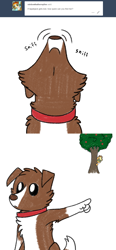 Size: 800x1718 | Tagged: safe, artist:askwinonadog, character:applejack, character:winona, species:dog, apple, apple tree, ask, ask winona, comic, duo, hiding, pointing, simple background, sniffing, tree, tumblr, white background
