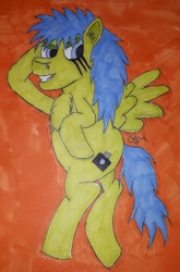 Size: 1060x1603 | Tagged: safe, artist:rapidsnap, oc, oc only, oc:rapidsnap, species:pony, chest fluff, fluffy, solo, traditional art