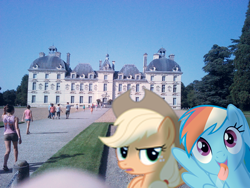 Size: 548x411 | Tagged: safe, artist:bastbrushie, character:applejack, character:rainbow dash, species:earth pony, species:pegasus, species:pony, castle, château de cheverny, france, garden, irl, photo, ponies in real life