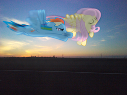 Size: 2048x1536 | Tagged: safe, artist:bastbrushie, character:fluttershy, character:rainbow dash, species:earth pony, species:pegasus, species:pony, garden, irl, motion blur, photo, ponies in real life, sunset