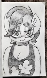 Size: 699x1143 | Tagged: safe, artist:shoeunit, character:roseluck, species:earth pony, species:pony, clothing, female, mare, pencil drawing, semi-anthro, solo, traditional art