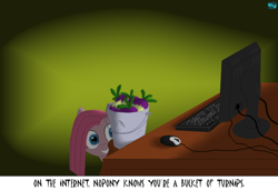 Size: 700x480 | Tagged: safe, artist:quint-t-w, character:pinkamena diane pie, character:pinkie pie, species:earth pony, species:pony, bucket, caption, computer, computer mouse, computer screen, creepy, creepy smile, image macro, keyboard, meme, monitor, mr. turnip, old art, on the internet nobody knows you're a dog, shadows, smiling, straight hair, text, turnips