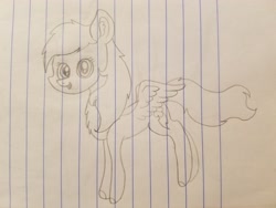 Size: 4032x3024 | Tagged: safe, artist:rainbow dash is best pony, character:rainbow dash, species:pegasus, species:pony, chest fluff, cute, dawwww, ear fluff, female, lined paper, looking at you, open mouth, pencil drawing, solo, spread wings, traditional art, wings