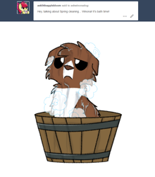 Size: 800x911 | Tagged: safe, artist:askwinonadog, character:winona, species:dog, ask, ask winona, bath, bath time, bathing, bucket, female, looking at you, simple background, soap, solo, tumblr, water, wet, white background, winona is not amused