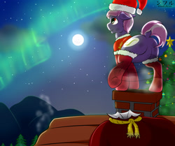 Size: 3000x2513 | Tagged: safe, artist:flash_draw, oc, oc only, species:earth pony, species:pony, aurora borealis, chimney, chocolate, christmas, christmas lights, christmas star, christmas tree, christmas wreath, clothing, coal, commission, complex background, detailed, featureless crotch, food, holiday, holly, hot chocolate, house, male, moon, mountain, roof, scarf, socks, solo, thigh highs, thighs, tree, wreath