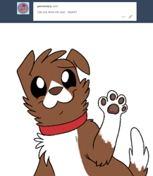 Size: 800x920 | Tagged: safe, artist:askwinonadog, character:winona, species:dog, ask, ask winona, cute, female, looking at you, paw pads, paws, simple background, smiling, solo, toe beans, tumblr, underpaw, white background, winonabetes