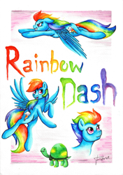 Size: 1645x2338 | Tagged: safe, artist:renaphin, character:rainbow dash, character:tank, species:pony, female, for sale, solo, traditional art, watercolor painting