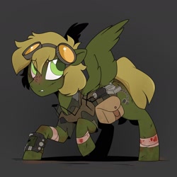 Size: 1800x1800 | Tagged: safe, artist:crimmharmony, oc, oc only, oc:murky, species:pegasus, species:pony, fallout equestria, bag, bandage, battle saddle, clothing, dark background, fallout equestria: murky number seven, fanfic art, goggles, grappling hook, jacket, male, pipbuck, saddle bag, solo, stallion, wings