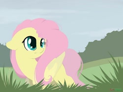 Size: 1280x960 | Tagged: safe, artist:kebchach, character:fluttershy, species:pegasus, species:pony, cute, explicit source, female, floppy ears, grass, mare, shyabetes, solo