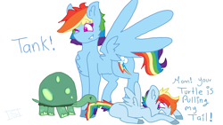 Size: 2560x1440 | Tagged: safe, artist:shinningblossom12, character:rainbow dash, character:tank, oc, oc:rainbow sky, parent:rainbow dash, species:pegasus, species:pony, chest fluff, colored hooves, dialogue, female, mare, mouth hold, not rainbow dash, offspring, one eye closed, parents:dashblitz, pegasus oc, product of selfcest, scared, simple background, tail, tail pull, tortoise, white background, wings, wink