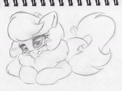 Size: 2007x1505 | Tagged: safe, artist:zemer, oc, oc only, oc:feather belle, species:pegasus, species:pony, adorable face, chest fluff, cute, female, fluffy, lidded eyes, mare, monochrome, pencil drawing, prone, solo, traditional art