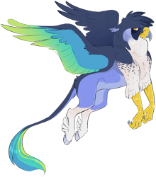 Size: 645x732 | Tagged: safe, artist:vindhov, oc, oc only, parent:gilda, parent:rainbow dash, parents:gildash, species:classical hippogriff, species:hippogriff, colored wings, commission, feathered fetlocks, flying, interspecies offspring, magical lesbian spawn, multicolored wings, offspring, realistic horse legs, simple background, solo, transparent background, wings