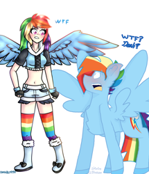 Size: 1392x1616 | Tagged: safe, artist:dashblitz90-fonnie, artist:shinningblossom12, character:rainbow dash, species:human, species:pegasus, species:pony, blushing, boots, chest fluff, clothing, collaboration, duo, eyelashes, female, fingerless gloves, gloves, human ponidox, humanized, looking at each other, male, open mouth, ponidox, rainbow blitz, rainbow socks, rule 63, self ponidox, shoes, shorts, simple background, socks, stallion, striped socks, surprised, white background, winged humanization, wings