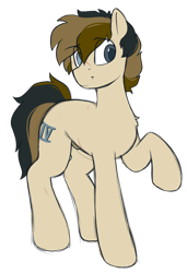 Size: 990x1450 | Tagged: safe, artist:crimmharmony, oc, oc only, oc:115, species:earth pony, species:pony, simple background, solo, transparent background