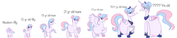 Size: 14000x3000 | Tagged: safe, artist:chelseawest, oc, oc:bundle joy, species:alicorn, species:earth pony, species:pony, age progression, alicornified, anatomically incorrect, baby, baby pony, belly, blushing, earth pony oc, female, filly, foal, heart, jewelry, looking back, multiple pregnancy, peytral, pfft, pregnant, race swap, regalia, sigh, teenage pregnancy, teenager