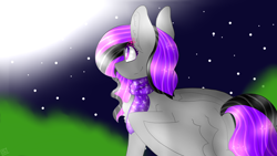 Size: 2560x1440 | Tagged: safe, artist:shinningblossom12, oc, oc only, species:pegasus, species:pony, clothing, looking up, night, outdoors, pegasus oc, scarf, smiling, solo, speedpaint available, stars, wings
